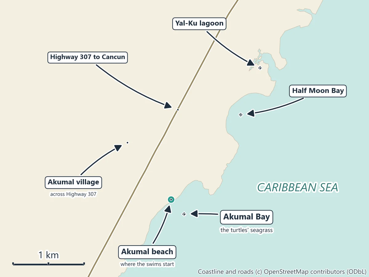 Map of Akumal on the Caribbean coast of Mexico: Akumal beach and Akumal Bay in the south, Half Moon Bay and the Yal-Ku lagoon to the north, Akumal village west of Highway 307